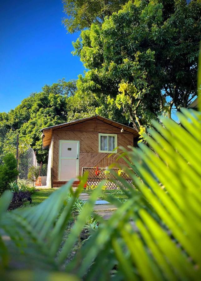 Hotel O Royal Tree Cafe And Resort Dehradun Exterior photo