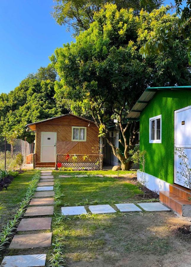 Hotel O Royal Tree Cafe And Resort Dehradun Exterior photo